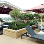 IMG_20180926_122146 copy